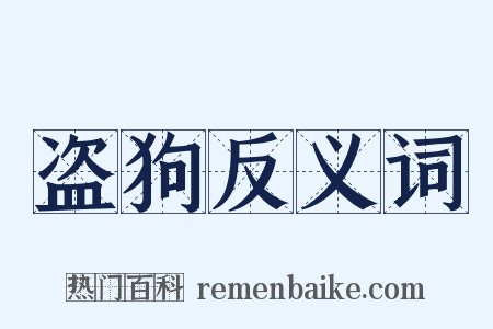 盗狗反义词是什么意思的图片